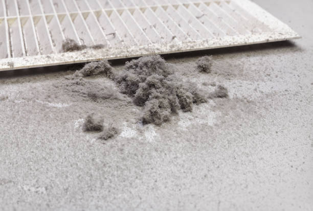 Best HVAC Maintenance and Cleaning  in Elleale, ND