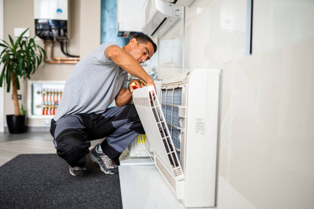 Best Local Air Duct Cleaning Services  in Elleale, ND