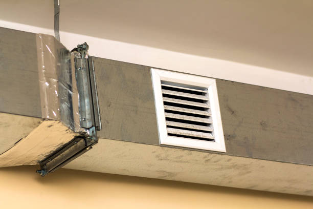 Best Air Vent Cleaning Services  in Elleale, ND